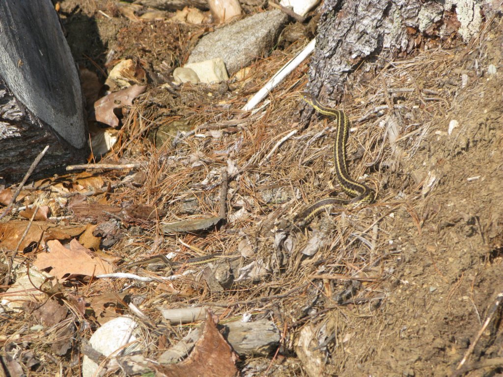 img_6067.jpg