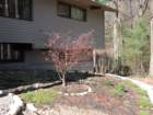 dsc00930_small.jpg