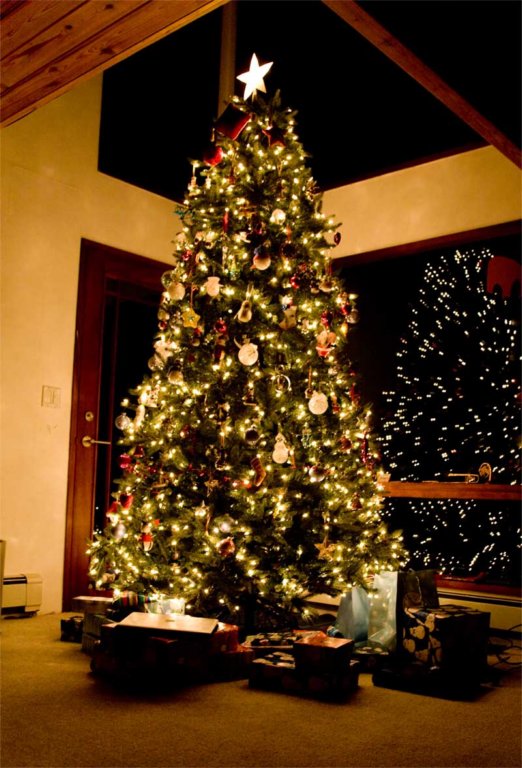 christmastree.jpg