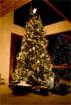 christmastree_small.jpg